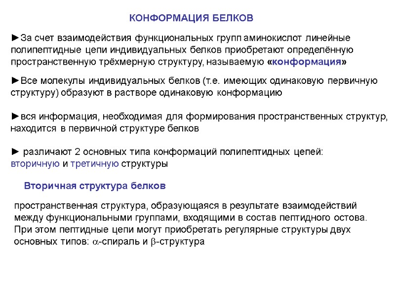 КОНФОРМАЦИЯ БЕЛКОВ  ►За счет взаимодействия функциональных групп аминокислот линейные полипептидные цепи индивидуальных белков